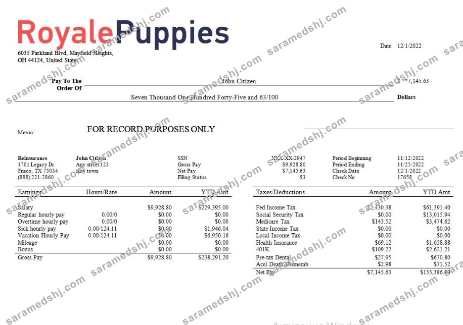 veterinary medicine company earning statement in Word and PDF formats